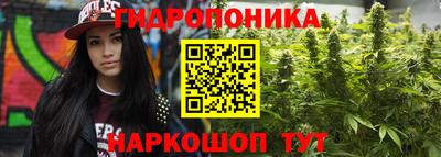 стафф Татарск