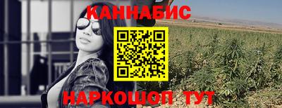 хмурый Тара