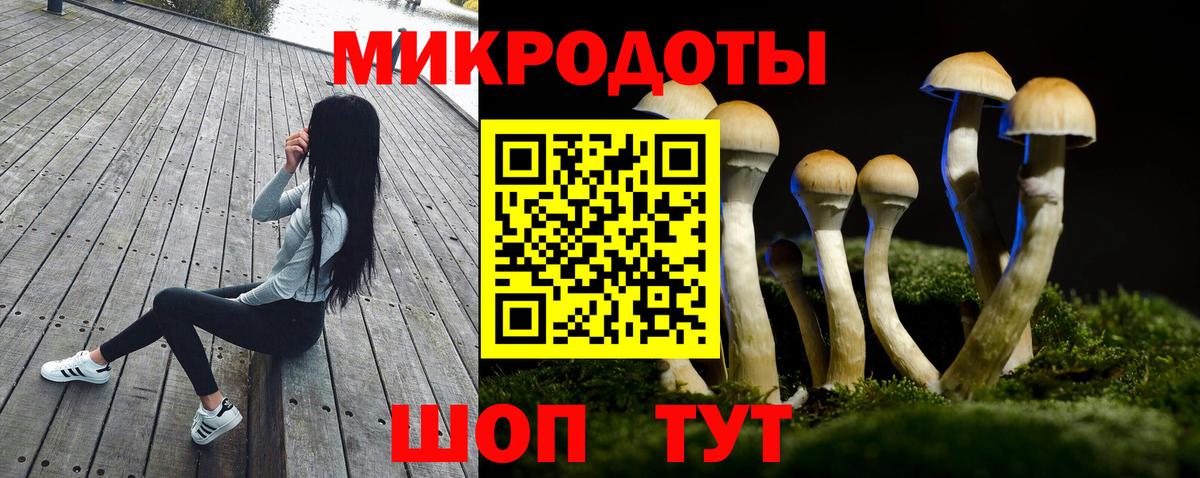 ГЕРОИН Петропавловск-Камчатский
