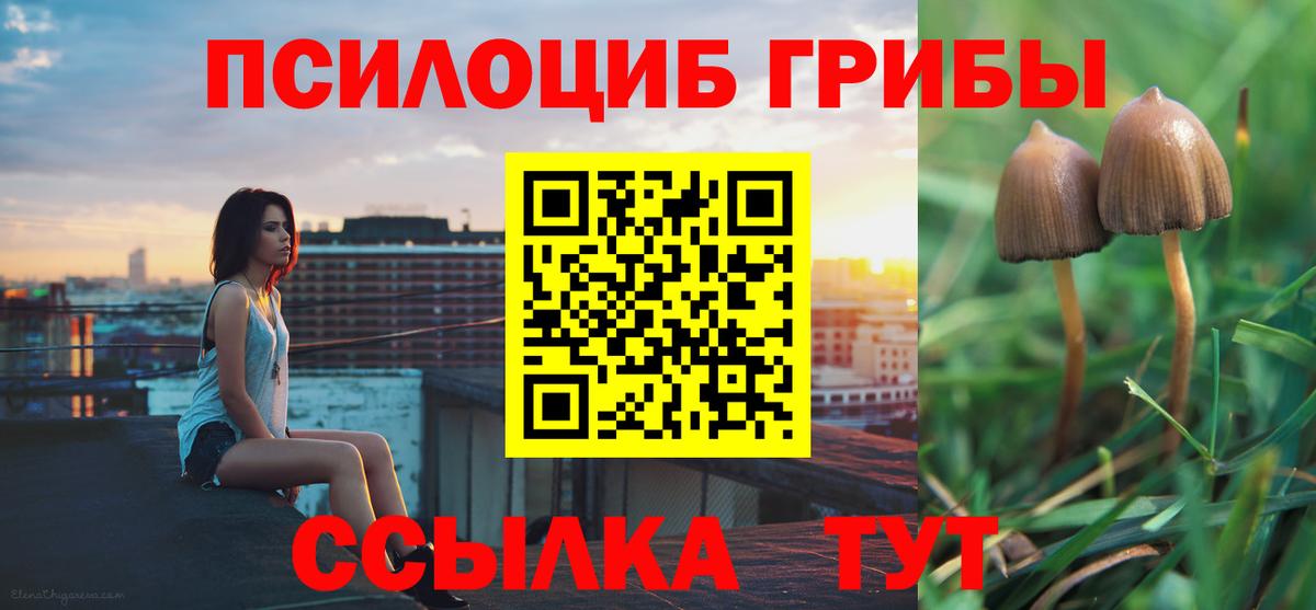 Псилоцибиновые грибы MAGIC MUSHROOMS  Галлюциногенные грибы ЛСД  Петропавловск-Камчатский  Вход с VPN 